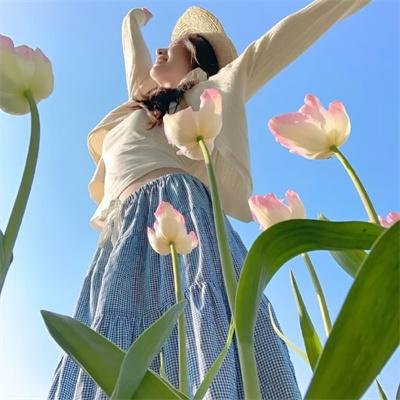 四合院里的孙大圣